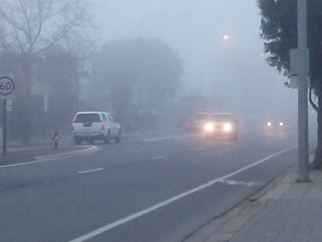 Foggy Morning 26Jul14