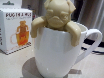Pug in a mug 19May15