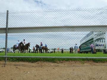 Adelaide cup